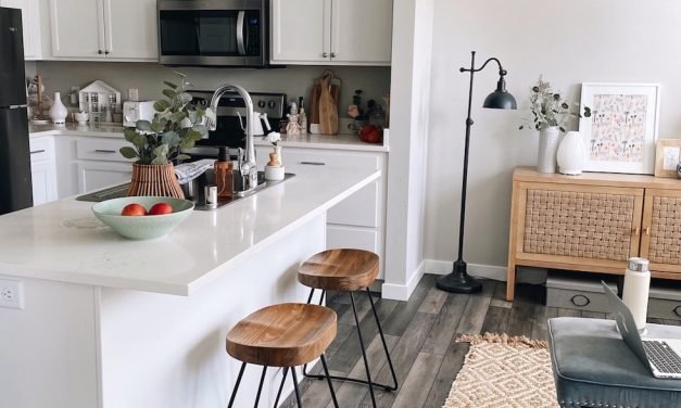 Tour of Courtney’s Apartment (500 Square Feet!)